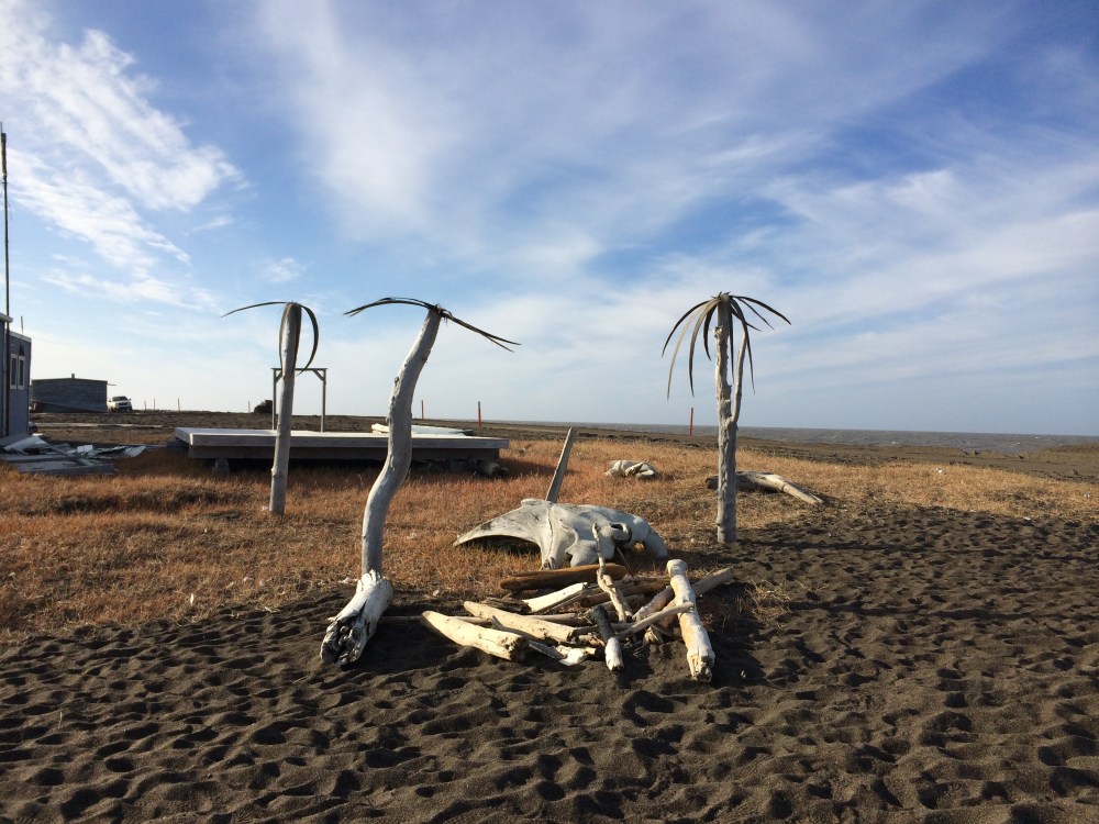 barrow-alaska-palm-trees