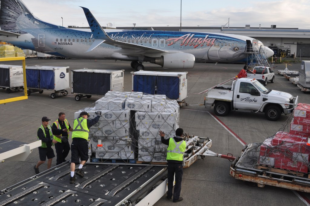 Boxes of salmon offloaded