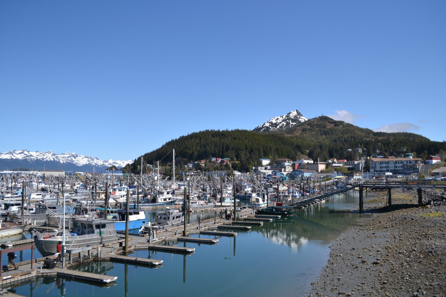 Full harbor in Cordova, Alaska