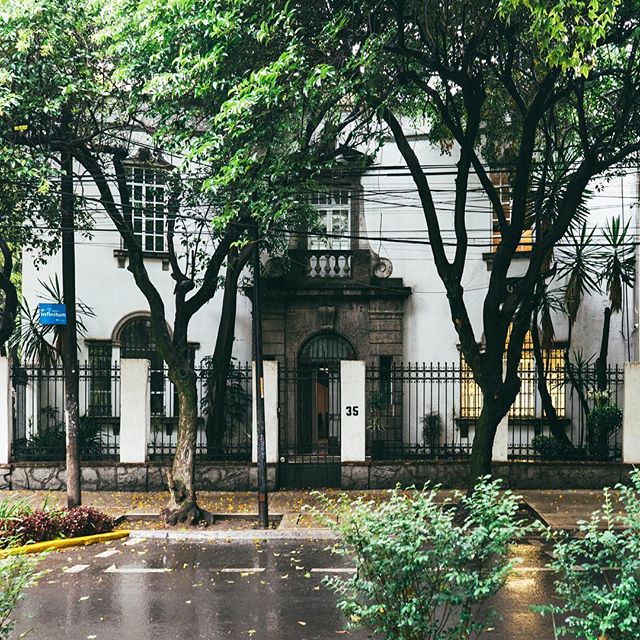 This is a photo of an old white mansion-like building with a metal fence around it. Around the fence are green plants