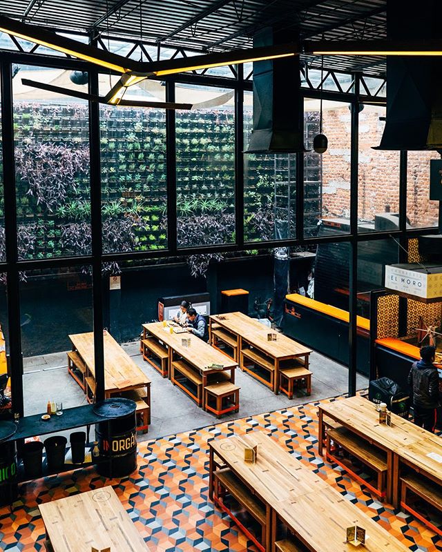 This is a photo of a large restaurant with picnic-style seating and a large wall full of green plants