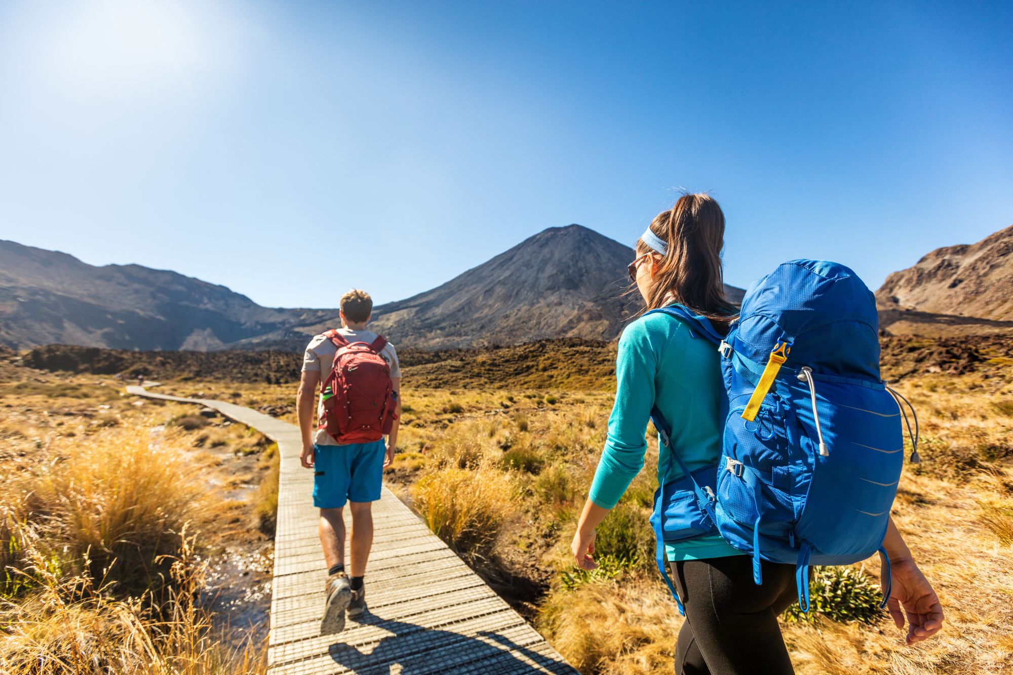 Hikers in North Island New Zealand