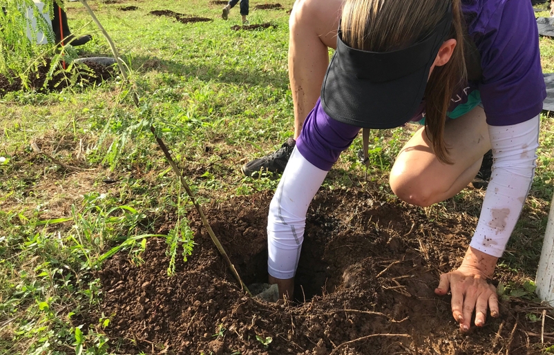 Christine planting
