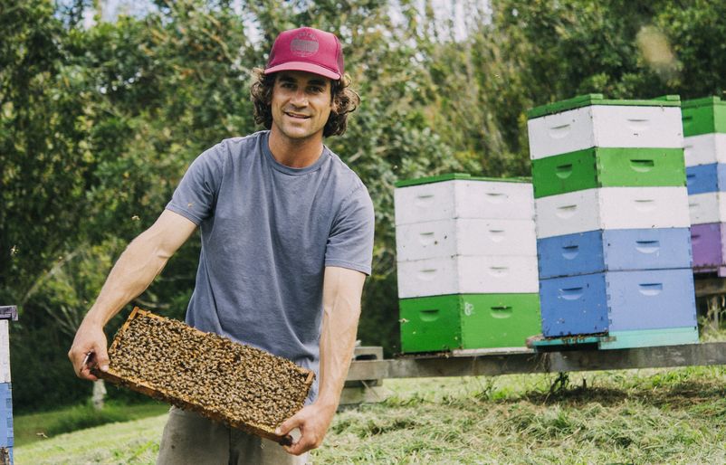 Sebag pictured holding a thriving hive frame on his farm on the Island of Hawaiʻi. Copy of waimeli-41