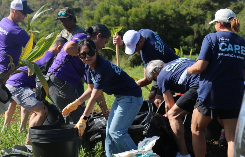 Volunteers from Alaska Airlines and Hawaiian Airlines planted and potted 100 trees at Hua Momona Farms IMG_0780