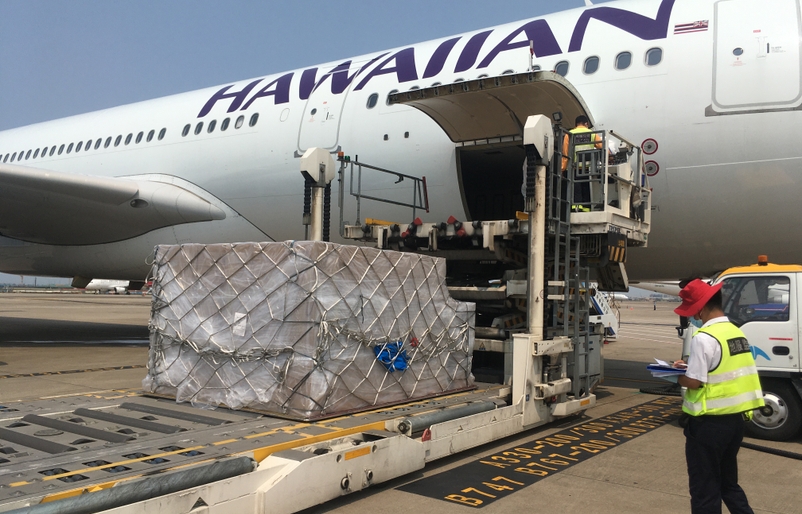 An image of the shipment of masks being loaded into our aircraft in Shenzhen, China. Loading in Shenzhen