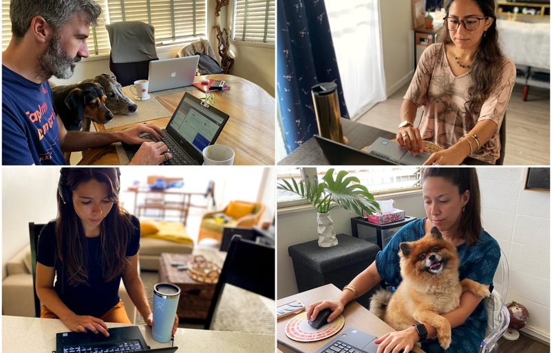 Our employees who volunteer with social care are able to assist guests on our social media channels while they practice social distancing working from home. Social care collage